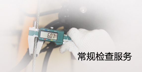 常規檢查服務